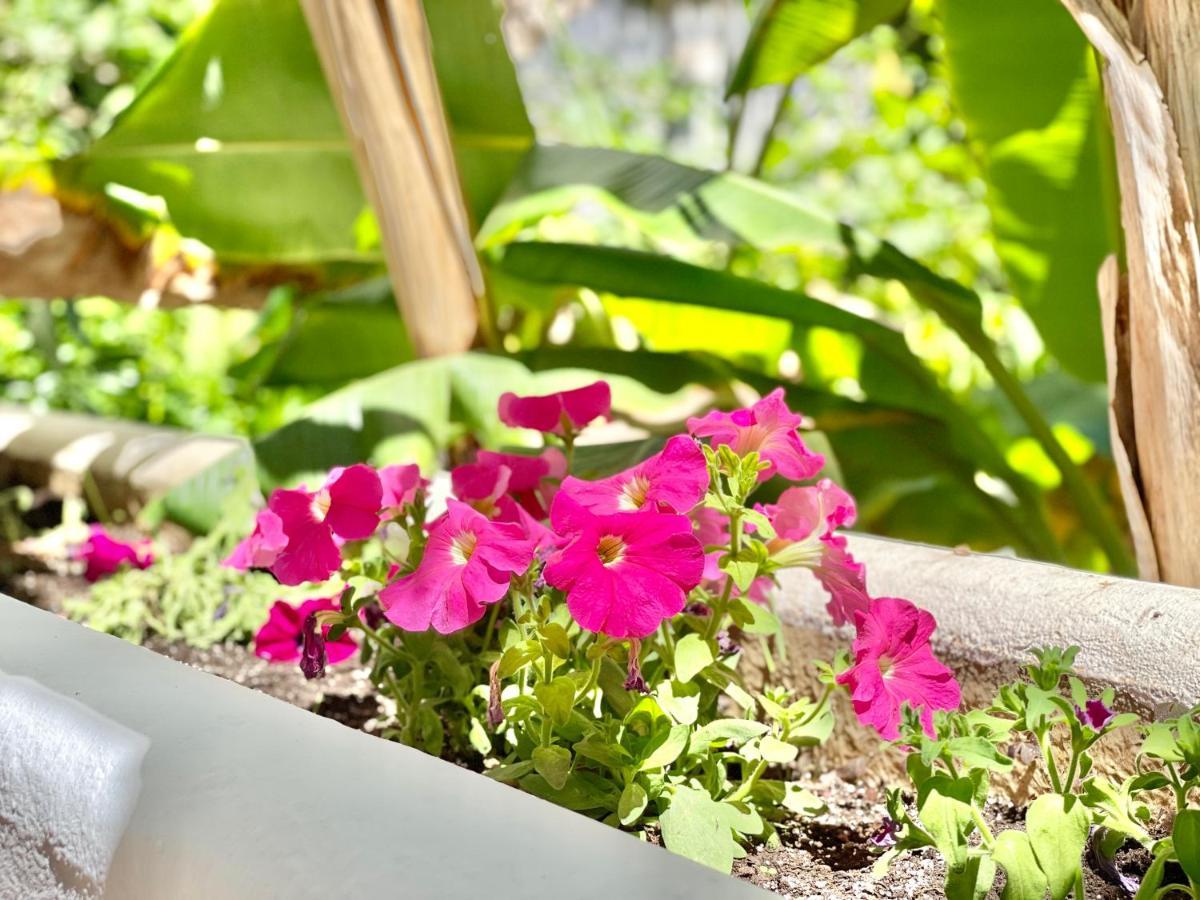 Marbella Real Golden Mile -Eaw Homes エクステリア 写真