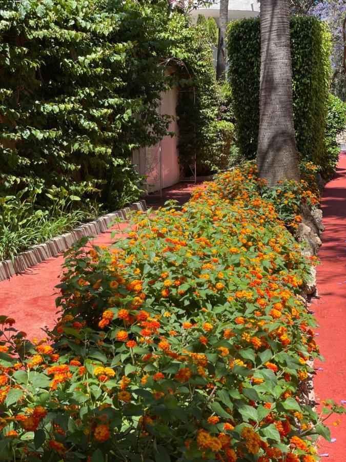 Marbella Real Golden Mile -Eaw Homes エクステリア 写真